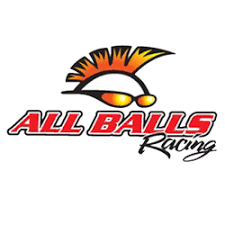 All Balls Racing